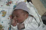 Just Born 2.jpg (46080 bytes)